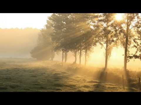 Beethoven - Symphony No 6 in F major, Op 68 - Celibidache