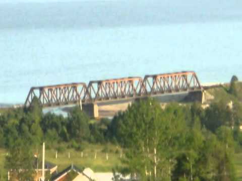 Black Sheep--Lloyd Snow