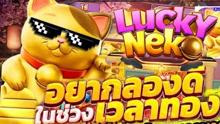 สล็อต สล็อตแตกง่าย สล็อตวอเลท สมัครสล็อตวอเลท สล็อตทรูวอเลท ฝากถอนวอเลท ไม่มีขั้นต่ำ 2025