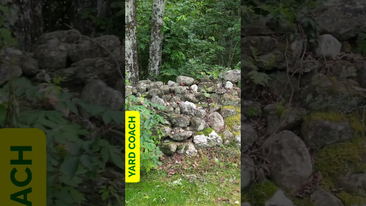 What to do with all these Rocks | DIY Landscaping Ideas