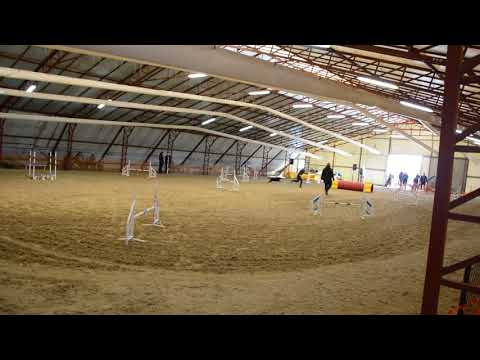 B.Fly Agility Team - Kraft vizsga - 2020.02.02.