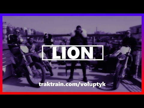Timal x Badjer x Sofiane (Type Beat) - "Lion" I Prod. Voluptyk