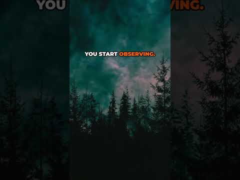 Ego vs Soul Psychology: The Real Battle for Inner Peace 🕷️