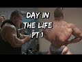 Day In The Life Part 1