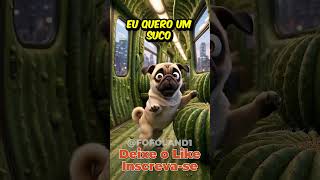 O Filhote pug entrou dentro de um trem de cactos! 🌵😱 #shorts
