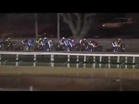 2015.07.04 Province Stakes (RSA) - Same Jurisdiction