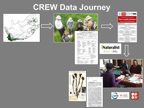 Evaluating success in citizen science a case study of the CREW programme