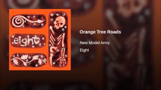 Orange Tree Roads