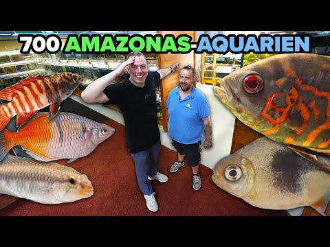 700 AMAZON AQUARIUMS - German specialist shop XXL
