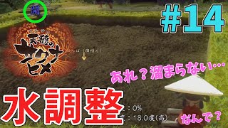 【天穂のサクナヒメ】#14 なぜか水が溜まらない！！なぜだーーー！！（サムネに答えありますw）