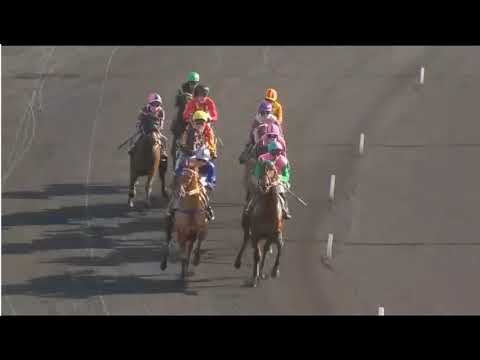 RACE 2 -VINCENNES - FRANCE