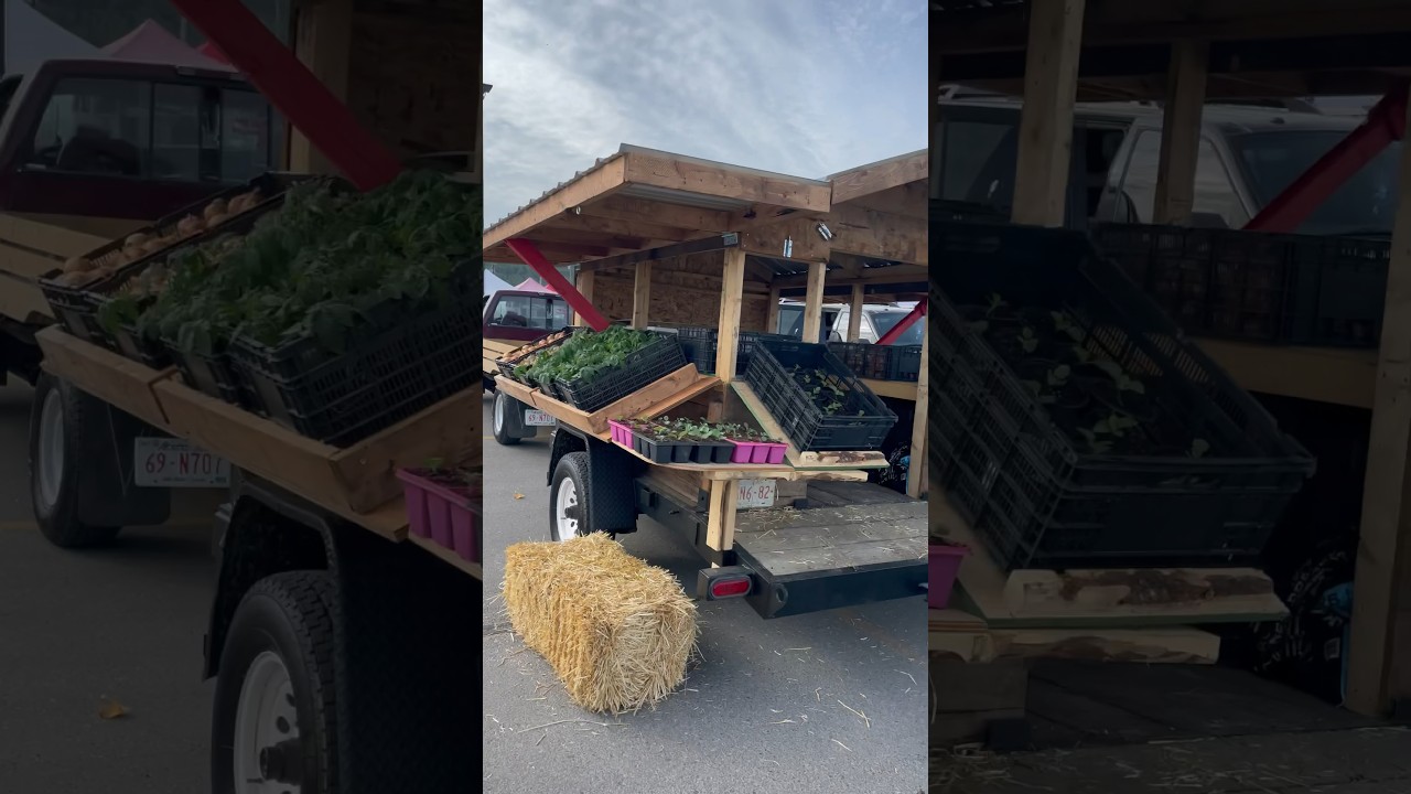 Travelling Farm Stand, farm innovation in action #innovation #practical #design #portable #farmlife