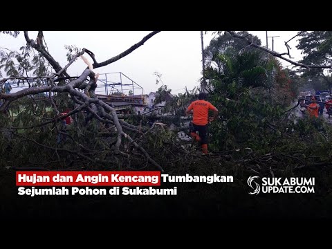 Hujan dan Angin Kencang Tumbangkan Sejumlah Pohon di Sukabumi