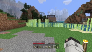 のんびりハラハラマイクラ生活【ノグクラ】