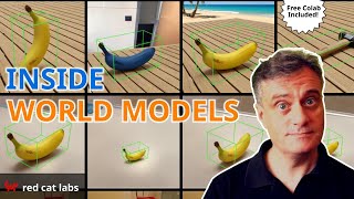 World Models & Neural Assets: The Mechanics of AI Simulation