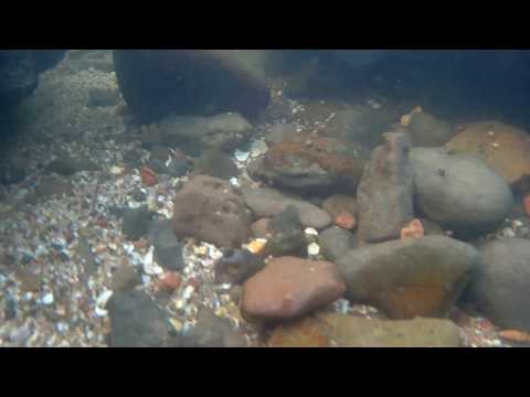 Underwater seastones & golden sunset at mithmumbari beach