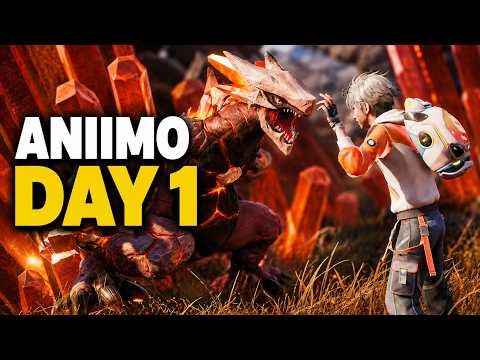 Aniimo Beginner Guide | What to Expect When You First Start