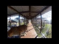 CongaRun Cam