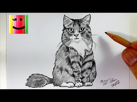 COMMENT DESSINER UN CHAT RÉALISTE AU CRAYON DE PAPIER - TUTORIEL DE DESSIN