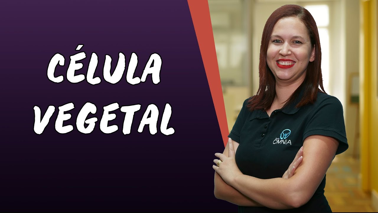 Célula Vegetal - Brasil Escola