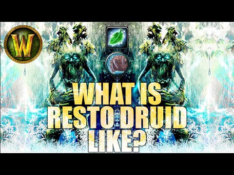 What are Resto Druids like in TBC?