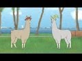 Llamas with Hats 5 - YouTube