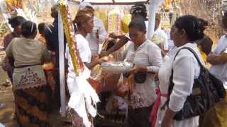 preview picture of video 'Traditional Balinese mass cremation, well known as Ngaben, in Dencarik, nearby Villa Lovina-beach'