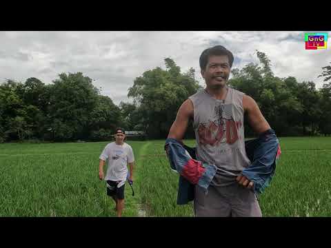 Pal eng sinugod ni Berto