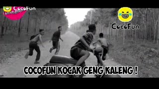 Download lagu Cocofun Lucu Story Wa Ngakak | Video Cocofun #1 mp3