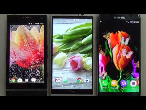 Tulips Live Wallpaper