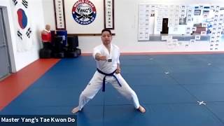 Live Class - Blue Belt - 5.21.20 @ 4:30pm