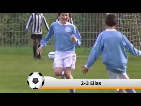 Samenvatting Zwaluwen D4 -  Hermes DVS D2