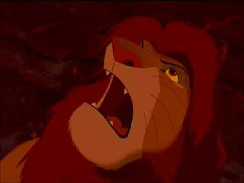 The Rabbit and the Simba part 21 - Whale Attack