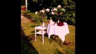 Sunny Day - Joy Williams