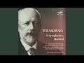 Symphony No. 3 in D Major, Op. 29 "Polish": II. Alla tedesca - Allegro moderato e semplice
