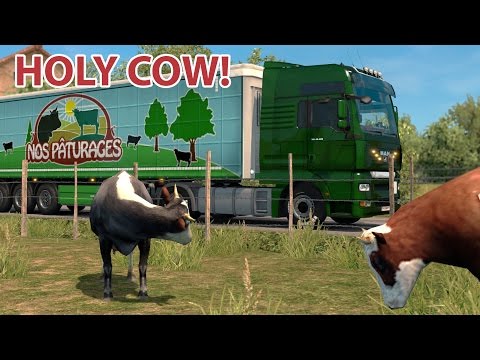 ETS2 MAN TGA MOD - FRANCE FARM DELIVERY