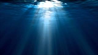 Catherine Wheel: Flower to Hide, Live XFM