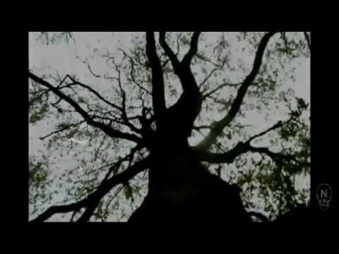 Plastique Noir - Shadowrun