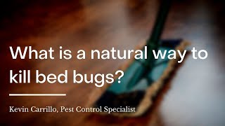 What is a natural way to kill bed bugs?