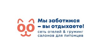 ФРАНШИЗА ОТЕЛЕЙ ДЛЯ ЖИВОТНЫХ BOOKING CAT