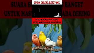 Download lagu NADA DERING|RINGTONE|MASTERAN BURUNG SUARA KICAUAN KENARI GACOR TEMBAKAN KASARAN PART-3 mp3 Download lagu NADA DERING|RINGTONE|MASTERAN BURUNG SUARA KICAUAN KENARI GACOR TEMBAKAN KASARAN PART-3 mp3