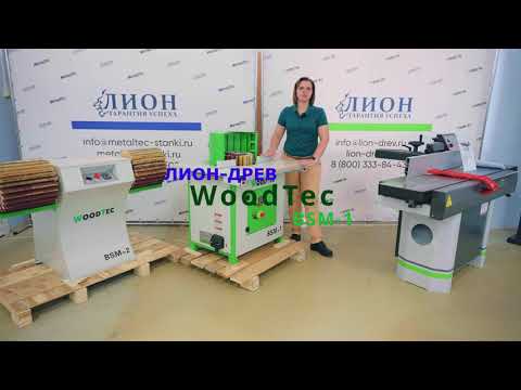 WoodTec BSM-1 NEW - станок щеточно-шлифовальный woo3630, видео 2
