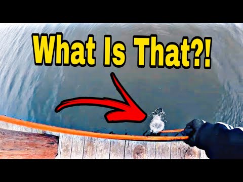 I Made The Most CHILLING Discovery EVER While Magnet Fishing!! (WARNING)