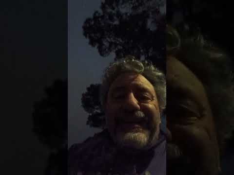 I nazisti in Antartide secondo Chatgpt