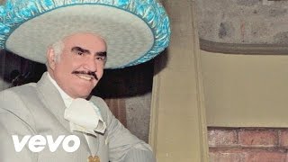 Vicente Fernández - El Maestro (Cover Audio)
