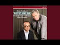 Schubert: Winterreise, D.911 - 14. Der greise Kopf