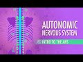 Autonomic Nervous System Crash Course Anatomy Physiology 13