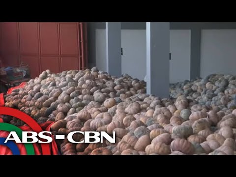 Dateline Philippines | ANC (6 June 2023)