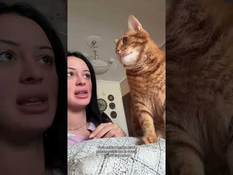 Kristy - Αν με απατάει...! 🤣😂😂🥰😍😍😇😍💕💓💕💓💓💕💕💓💓💕💓💕💕💓💓💕💓