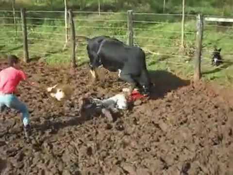 Sai caboquinho!!! Kkkkkkkkkk